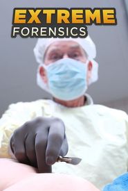 Extreme Forensics