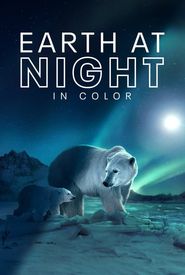 Earth at Night in Color