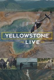 Yellowstone LIVE