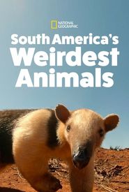 South America's Weirdest Animals