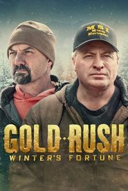 Gold Rush: Winter's Fortune