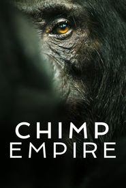 Chimp Empire