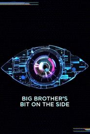 Big Brother's Bit on the Side