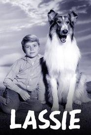 Lassie