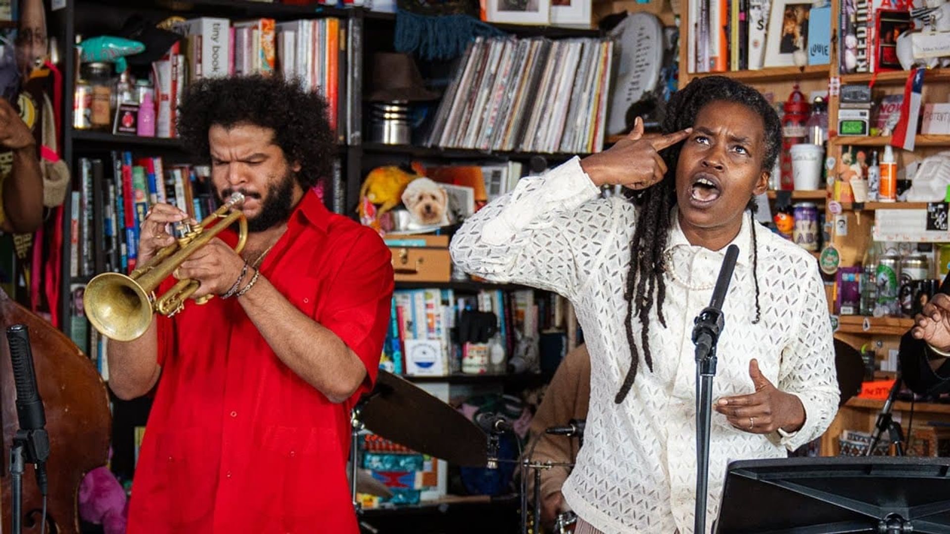 NPR Music Tiny Desk Concert background