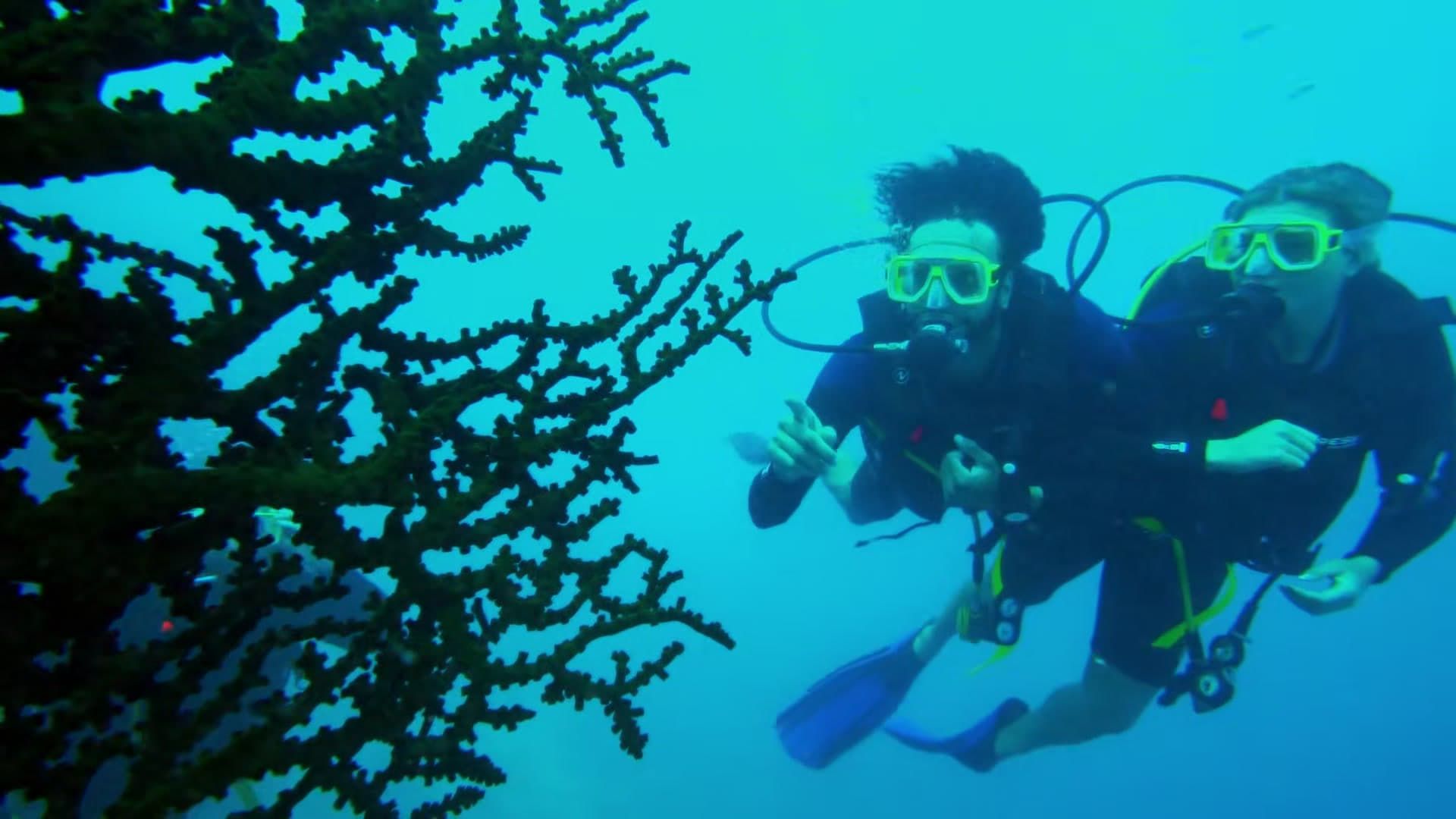 Below Deck Down Under background