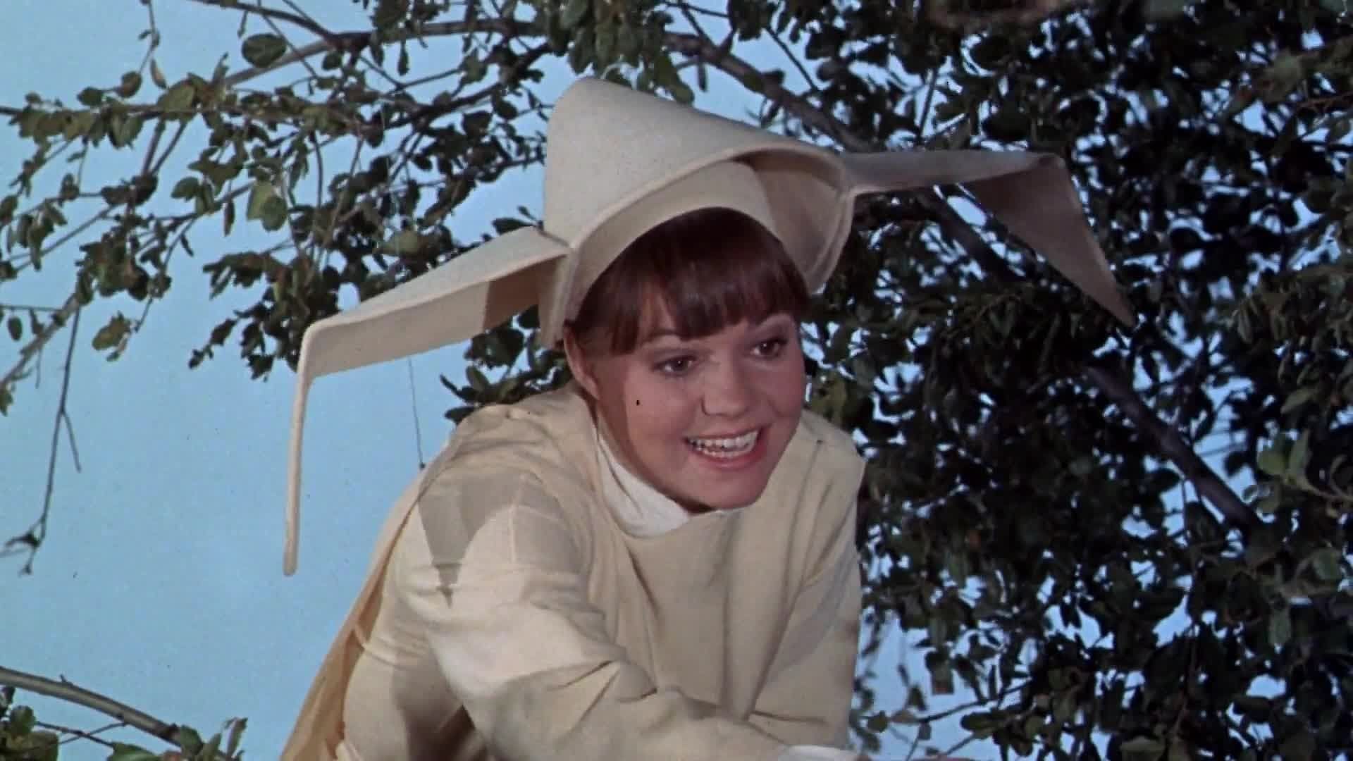 The Flying Nun background