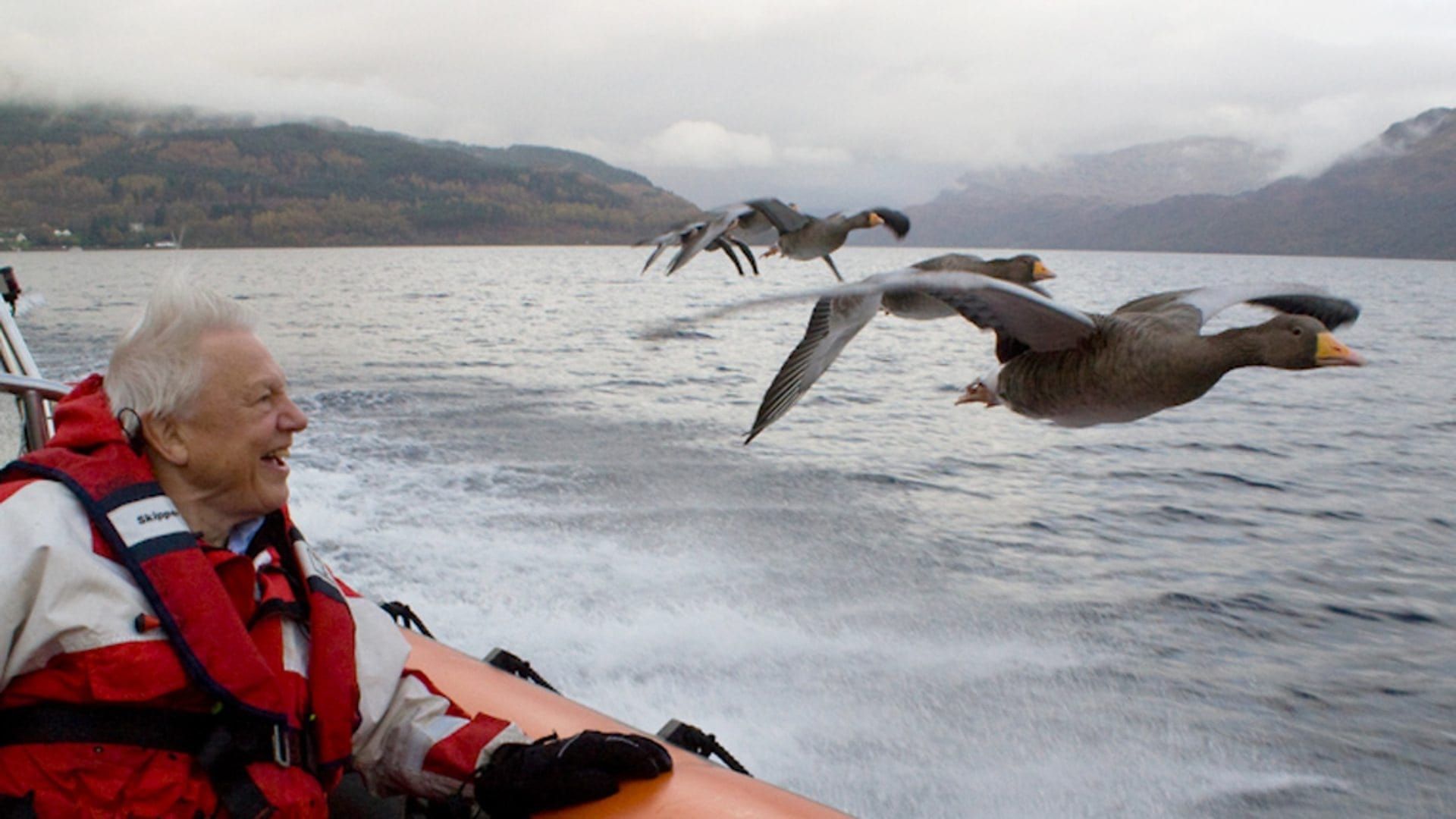 Attenborough: 60 Years in the Wild background