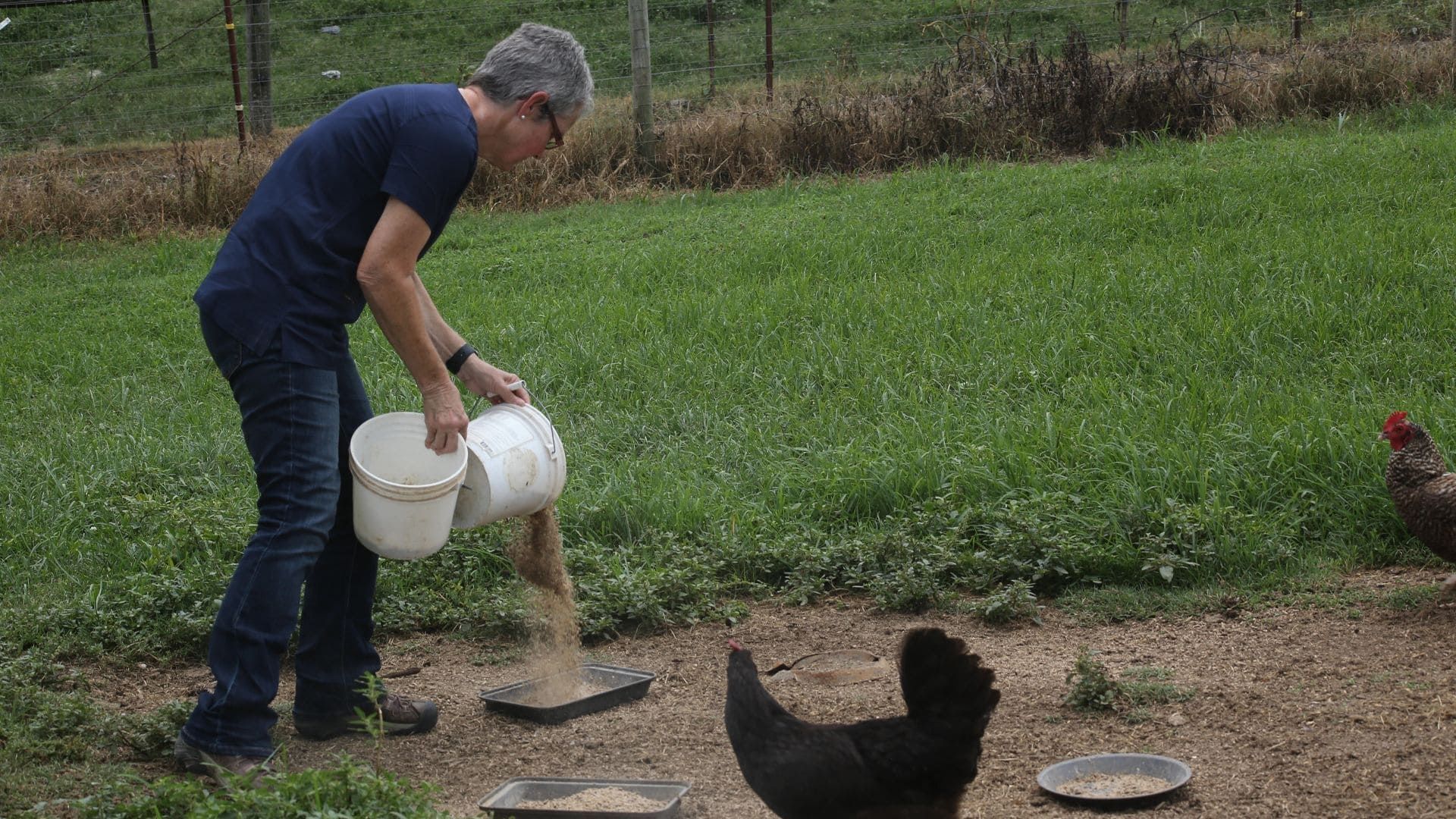 The Hatcher Family Dairy background