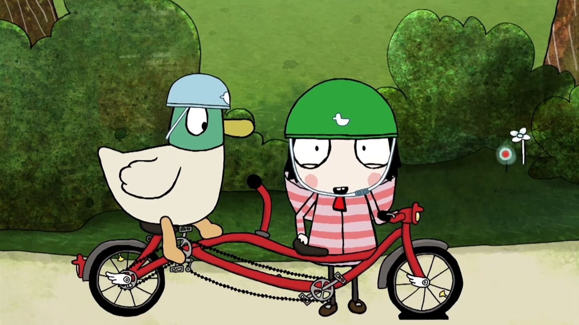 Sarah and Duck background