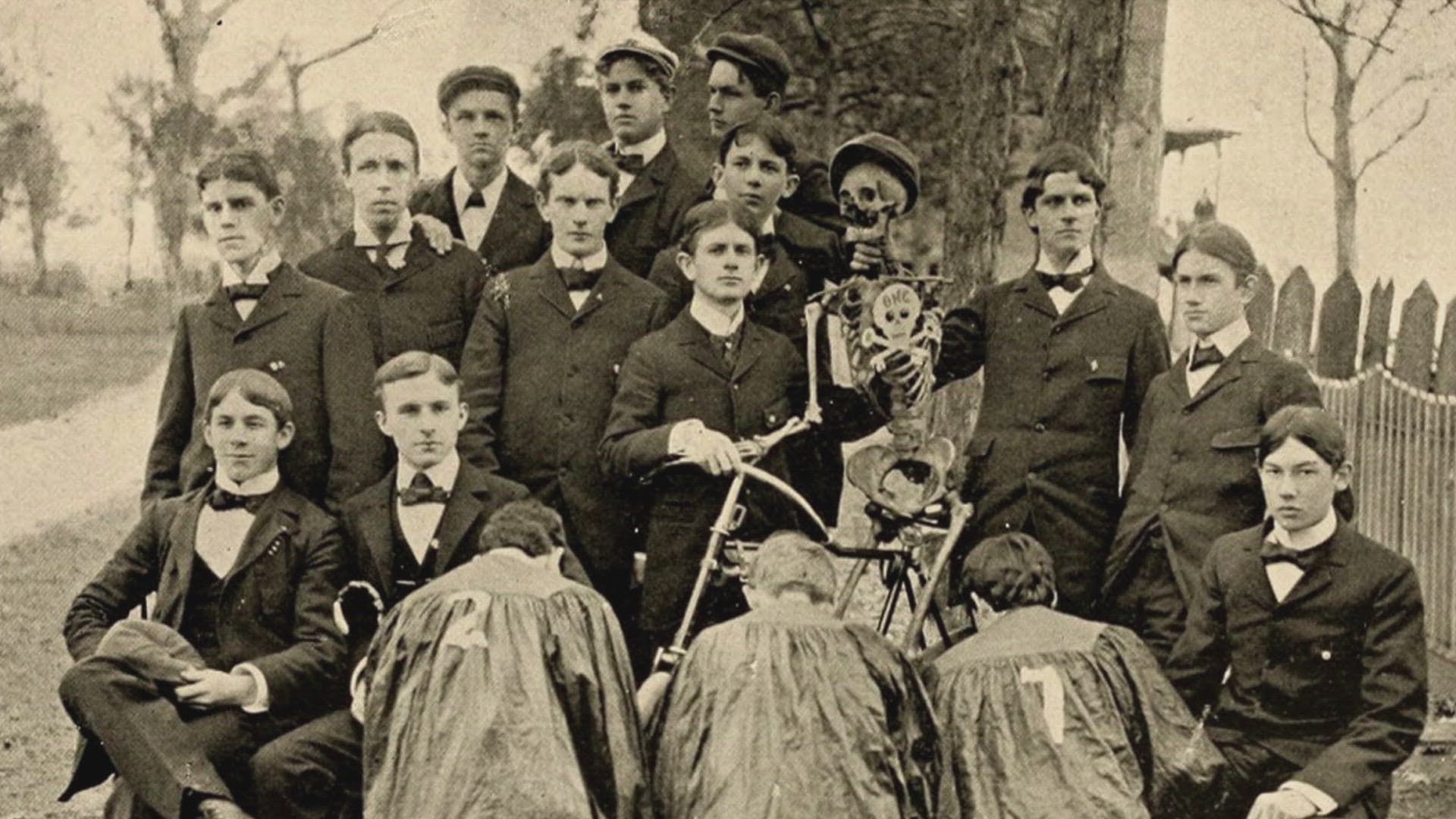 Houses of Horror: Secrets of College Greek Life background