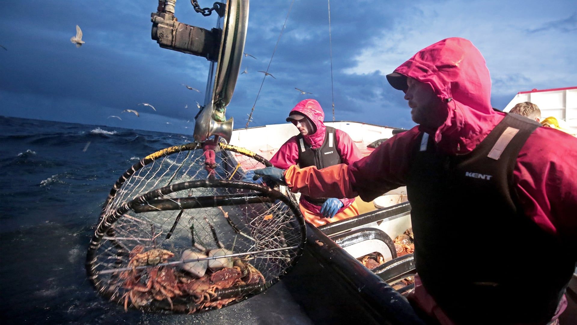 Deadliest Catch: Dungeon Cove background