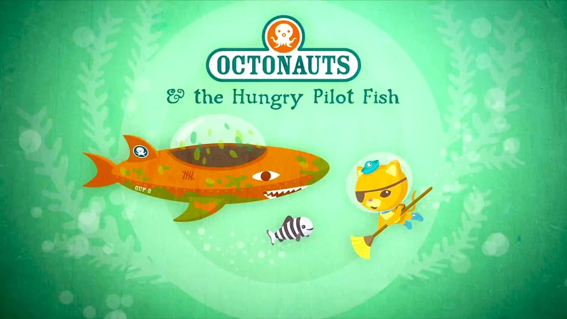 The Octonauts background