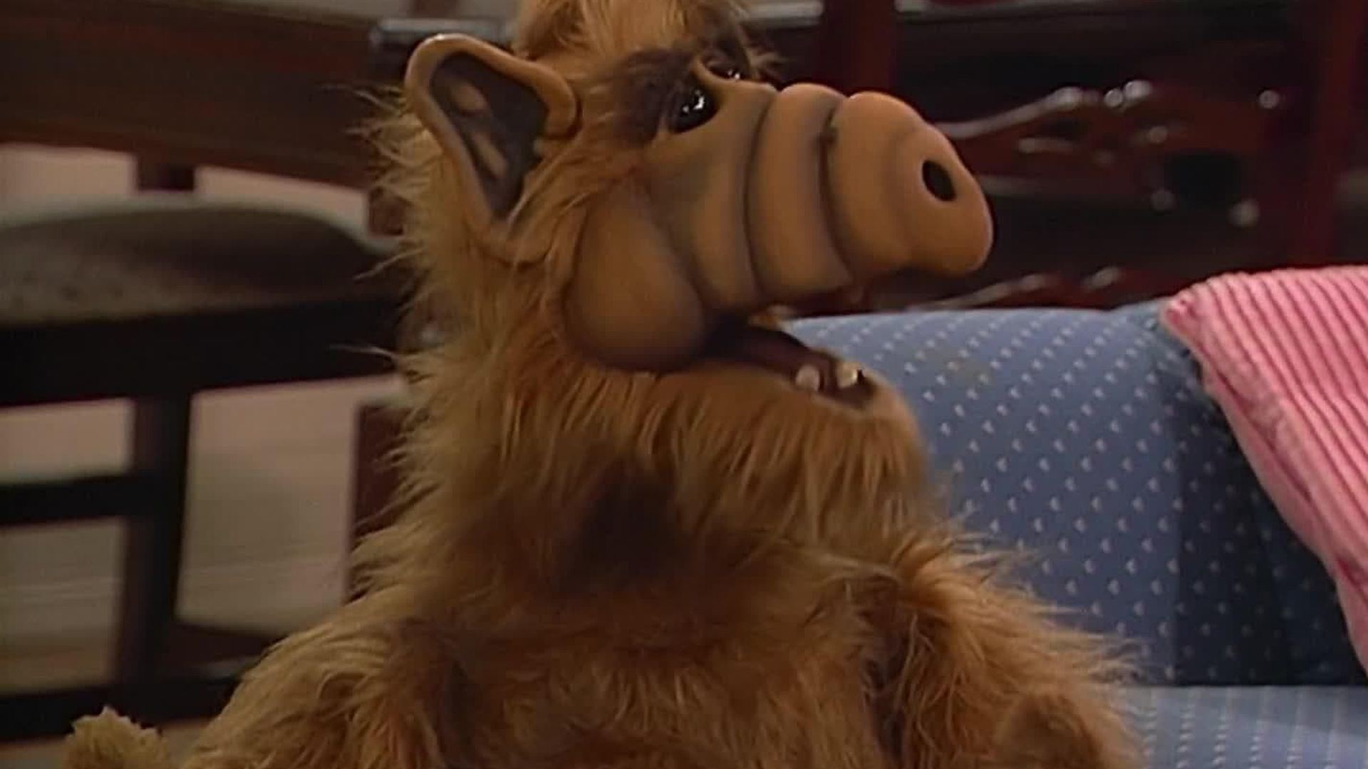 ALF background