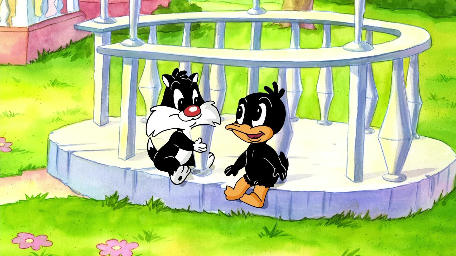 Baby Looney Tunes background