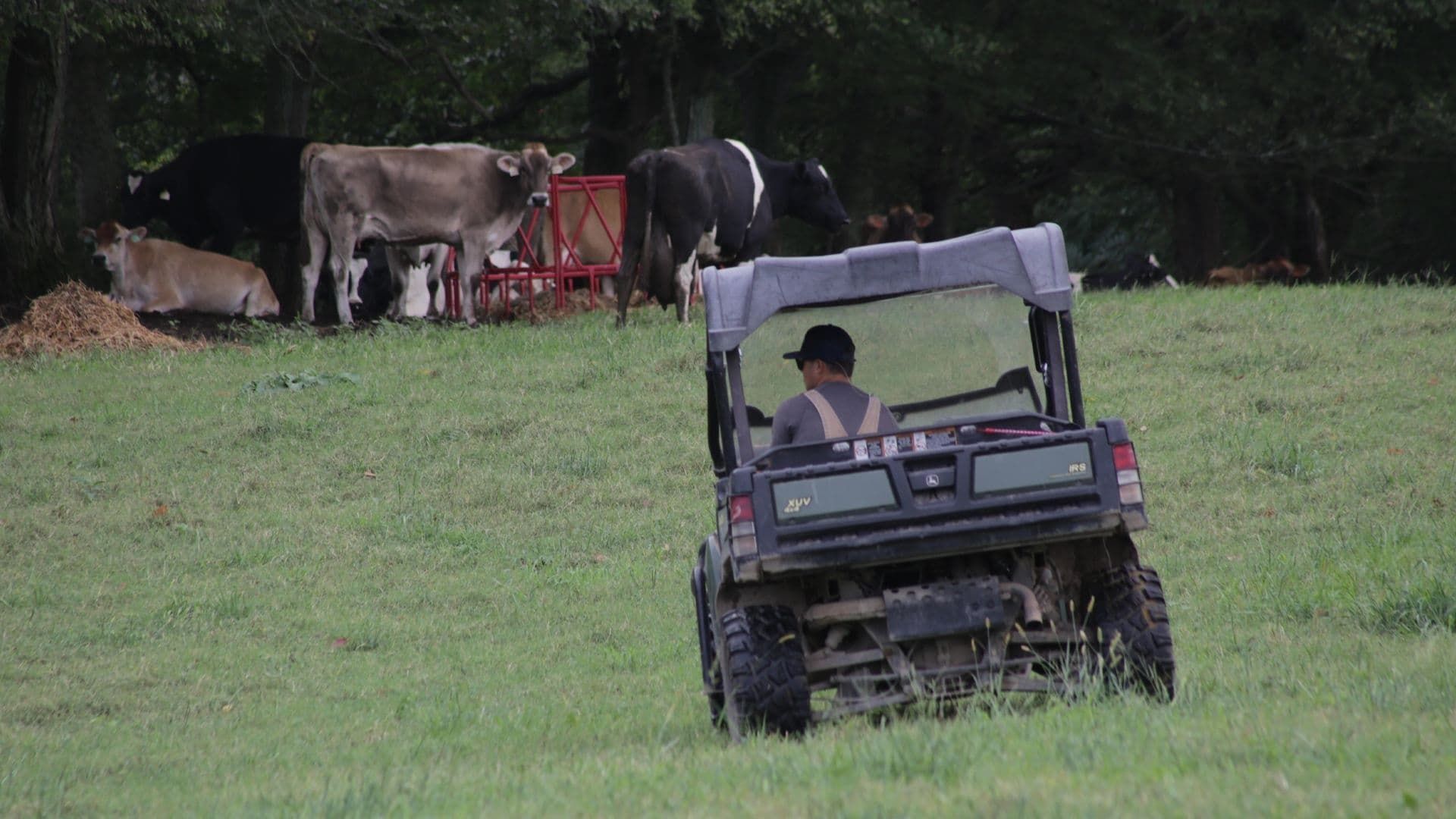 The Hatcher Family Dairy background