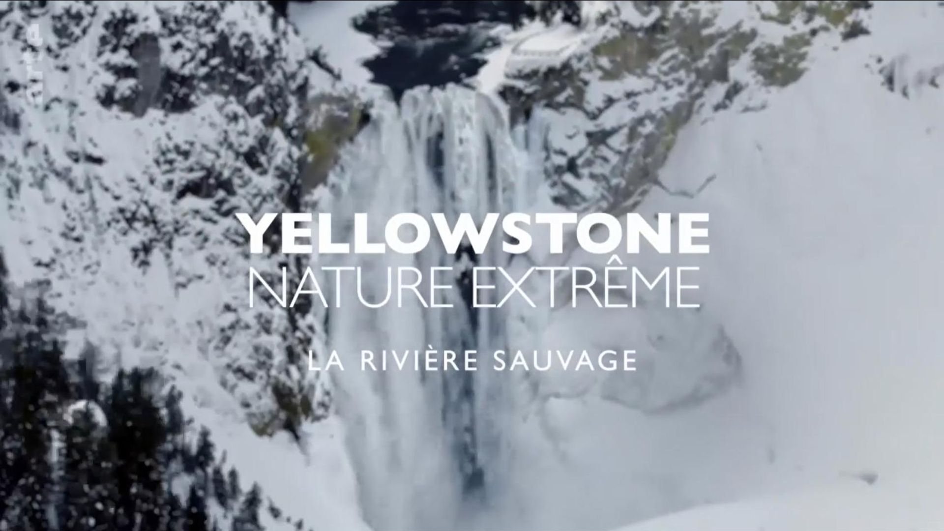 Epic Yellowstone background