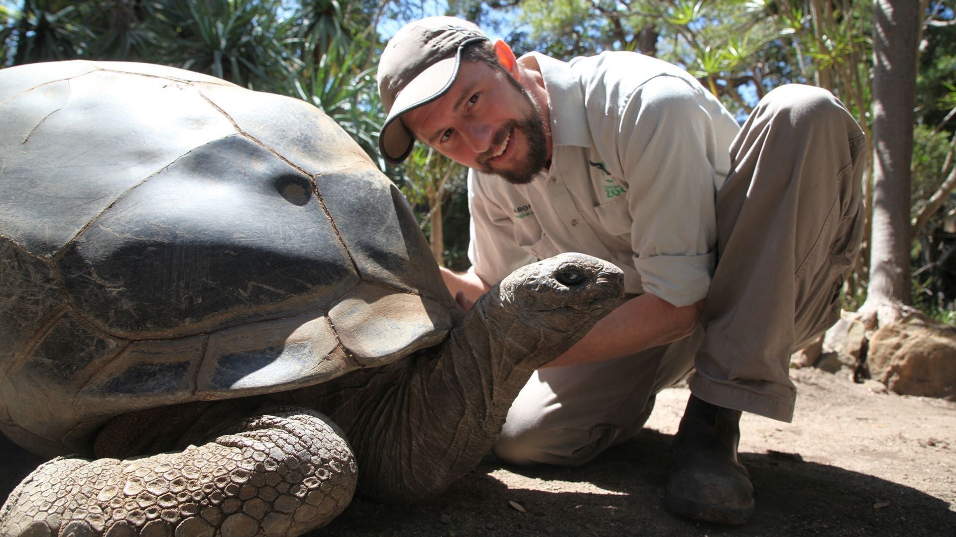 Secrets of the Zoo: Down Under background