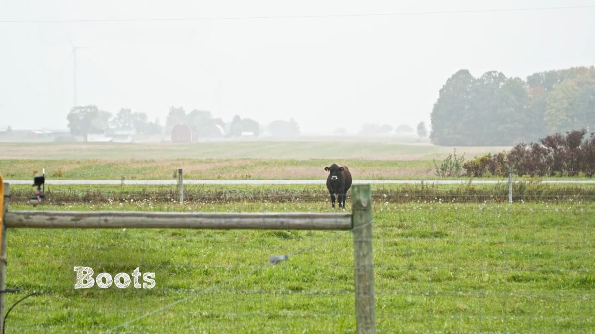 The Incredible Pol Farm background