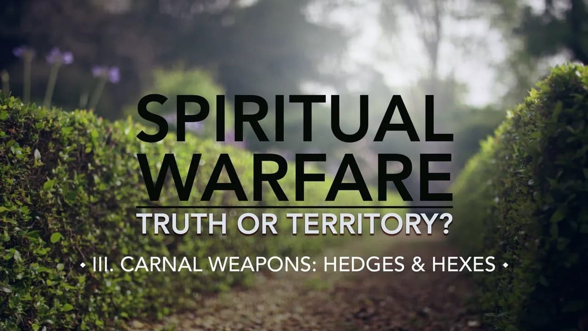 Spiritual Warfare: Truth or Territory? background