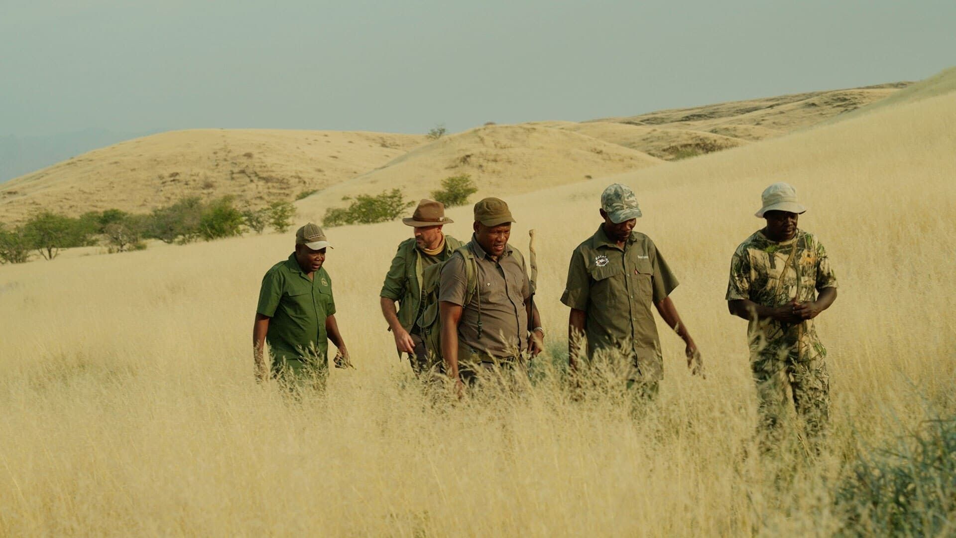 Levison Wood: Walking With... background