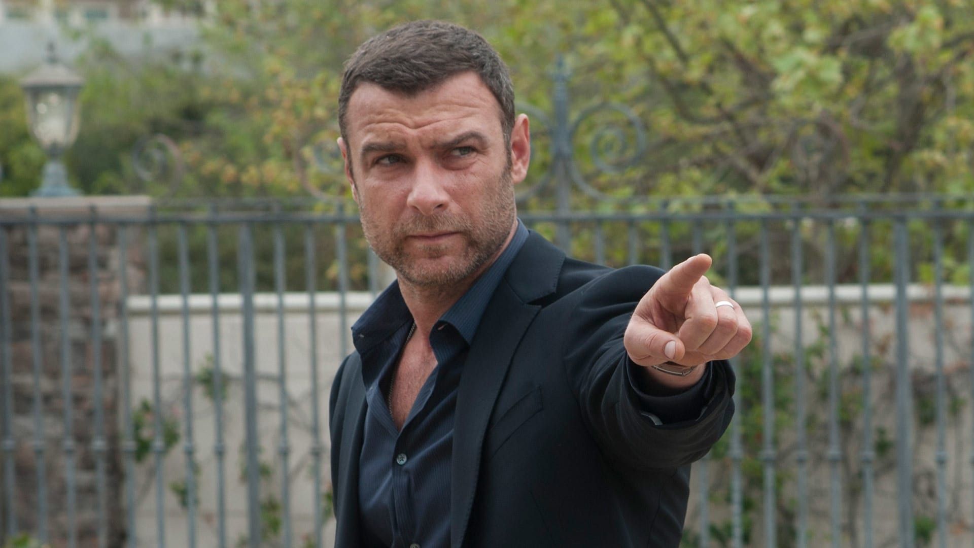 Ray Donovan background