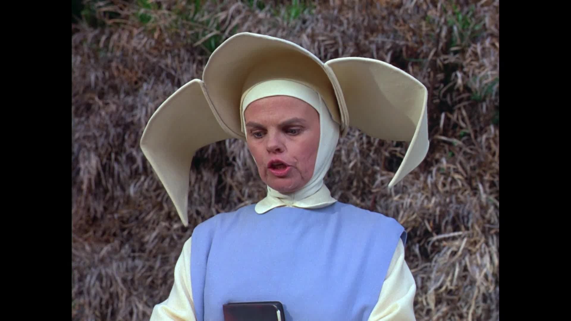 The Flying Nun background