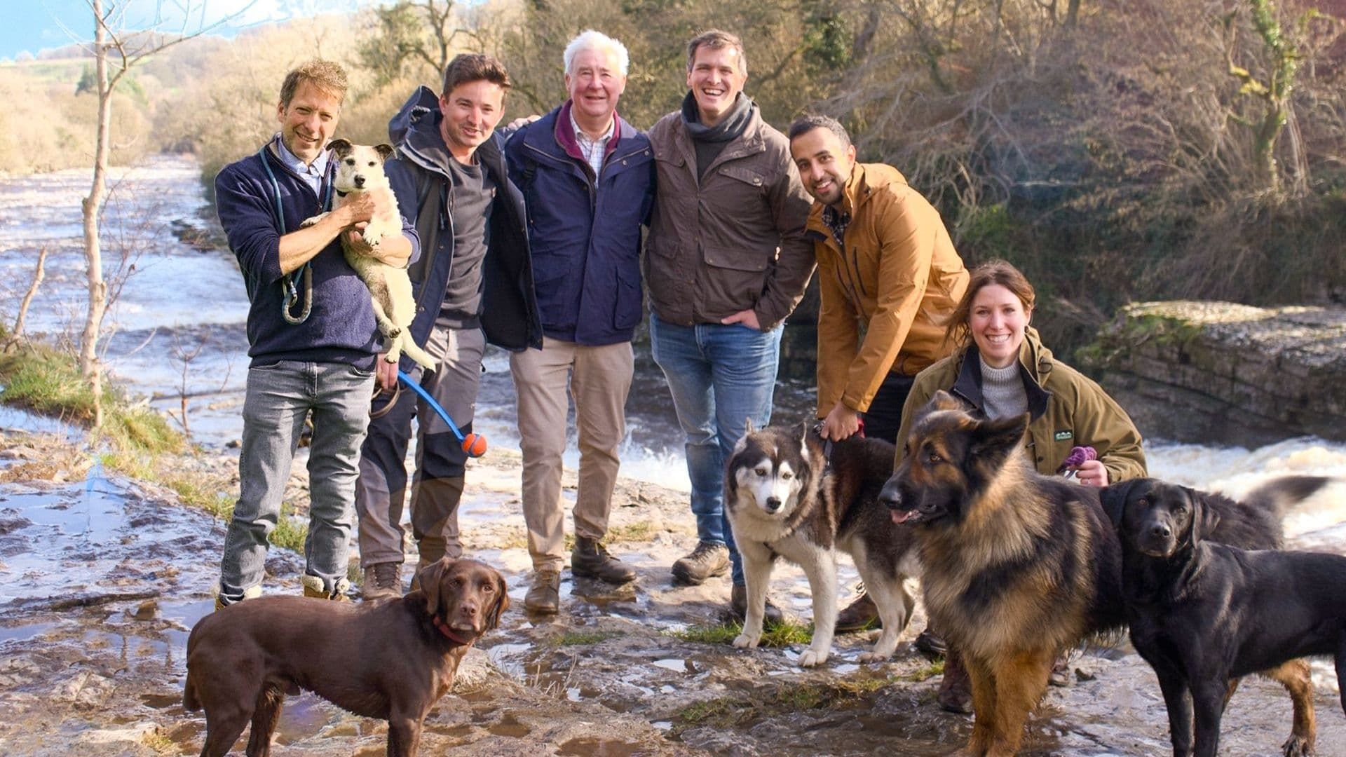 The Yorkshire Vet background