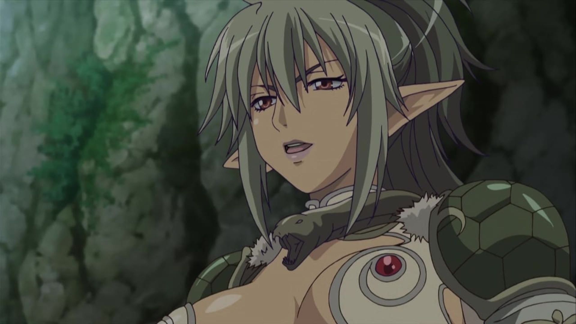 Queen's Blade: The Exiled Virgin background