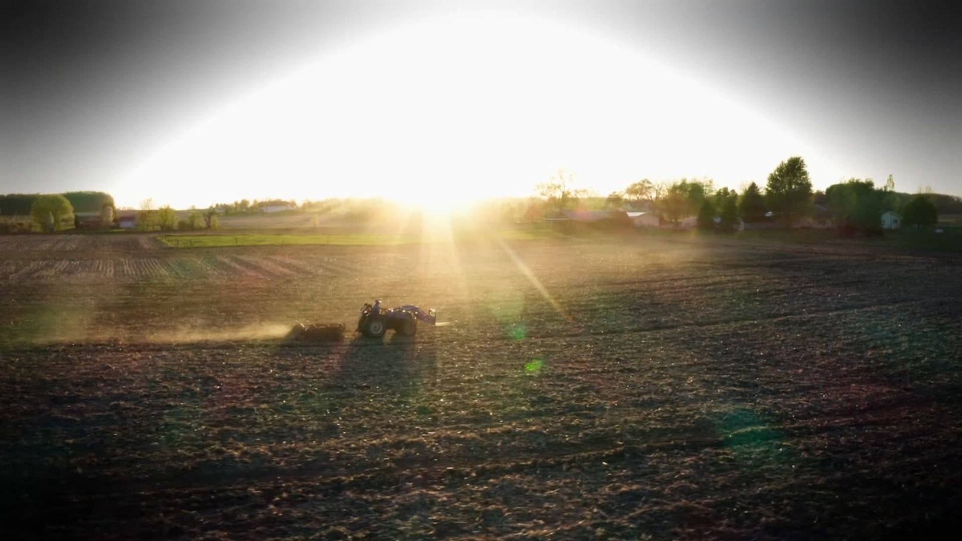 The Incredible Pol Farm background