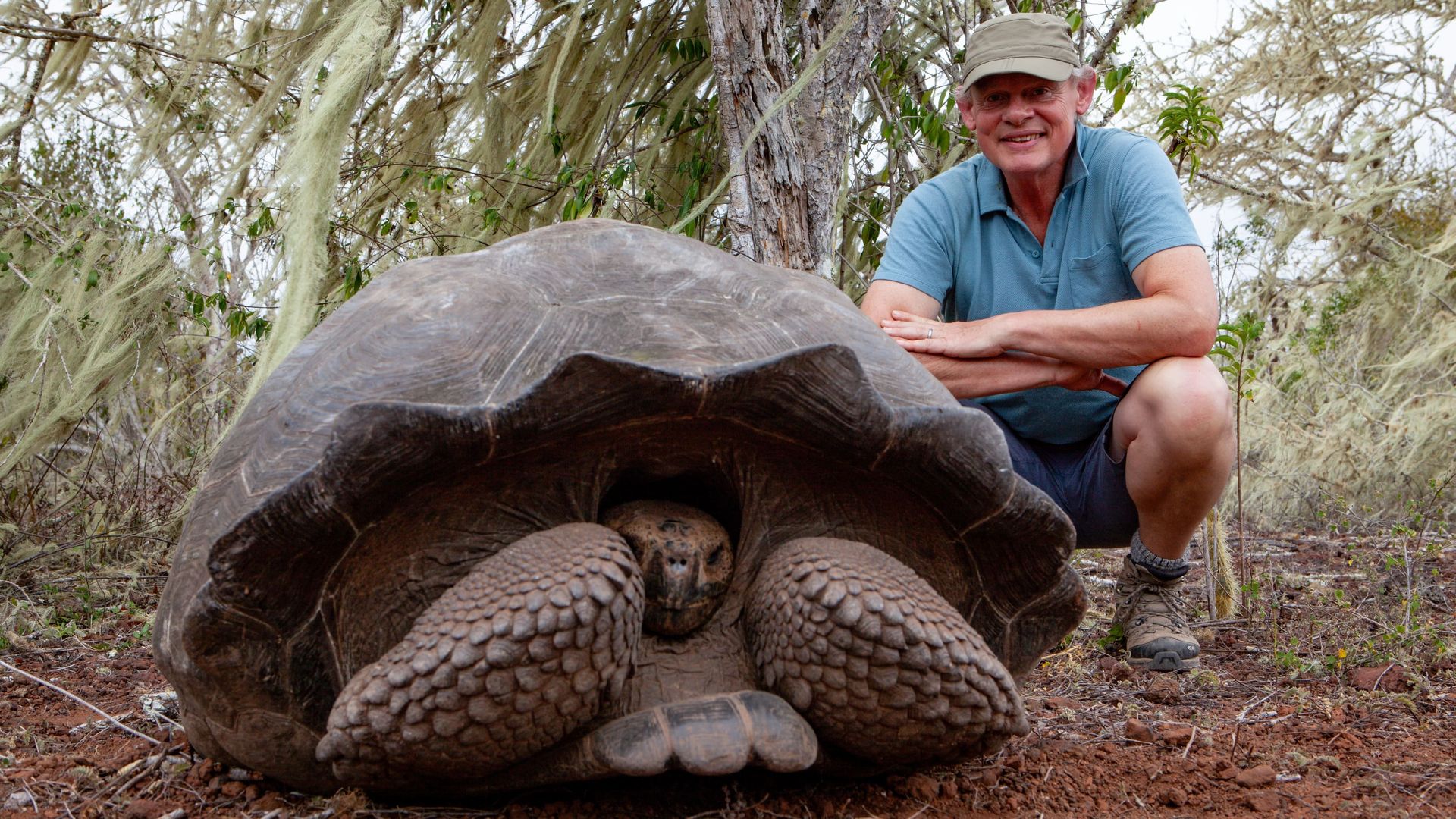 Martin Clunes: Islands of the Pacific background