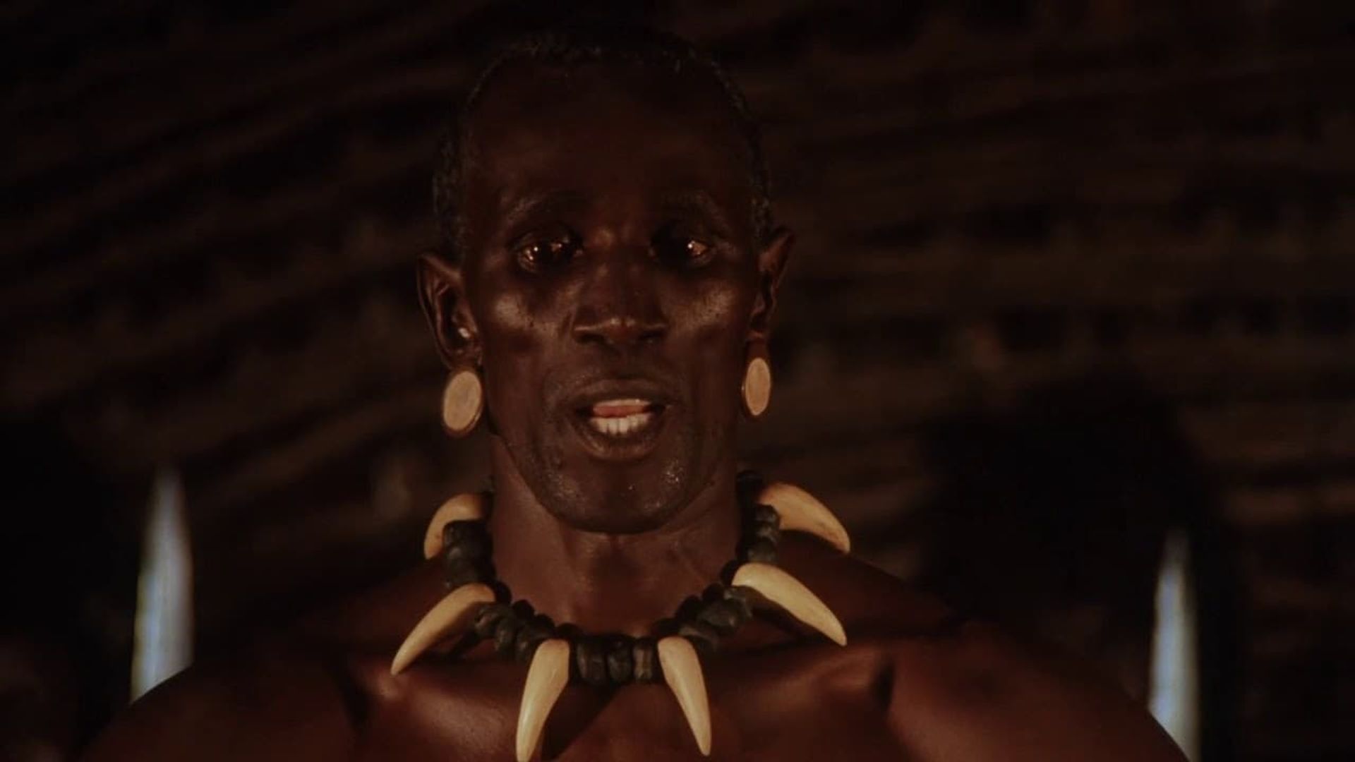 Shaka Zulu background