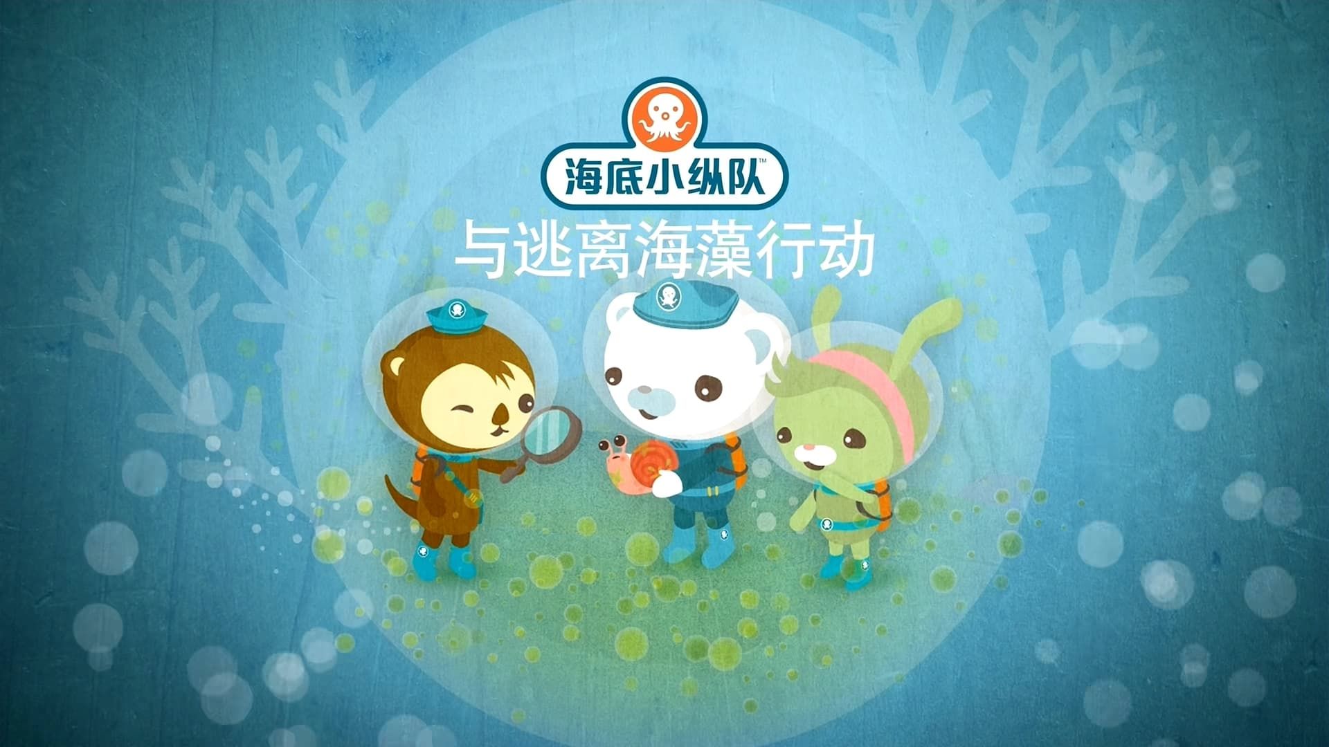 The Octonauts background