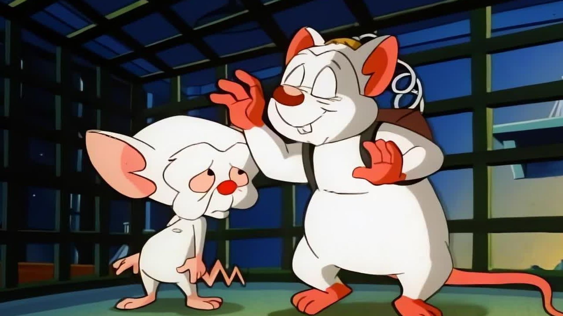 Pinky and the Brain background