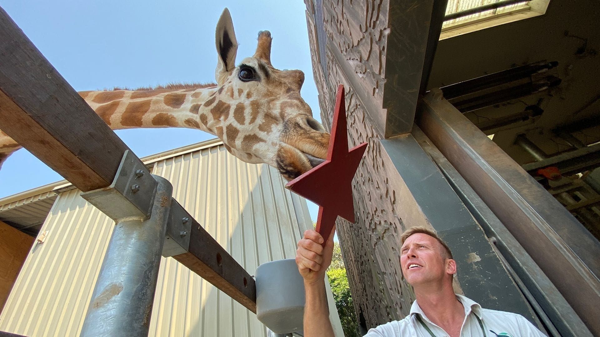 Secrets of the Zoo: Down Under background