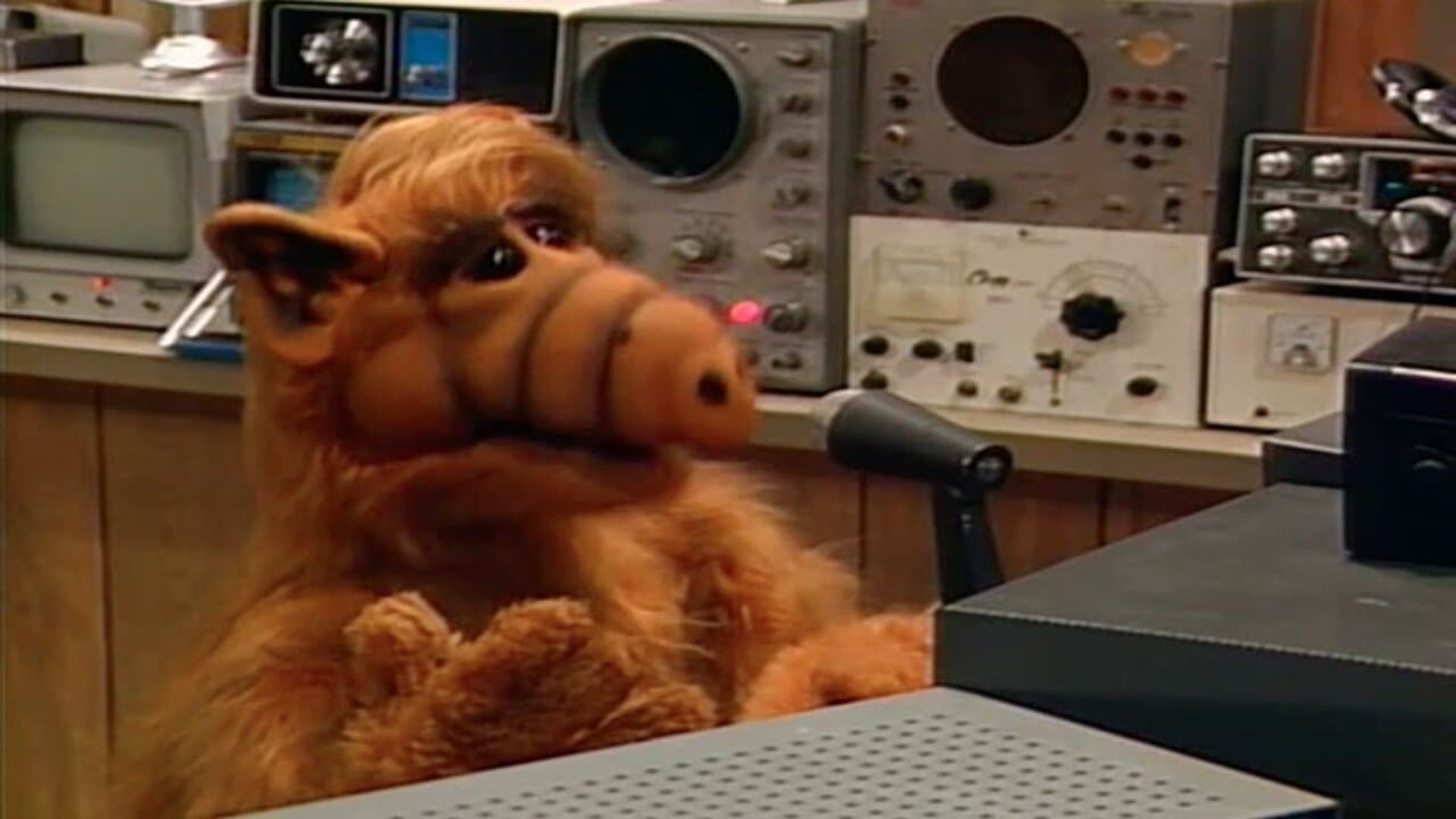 ALF background