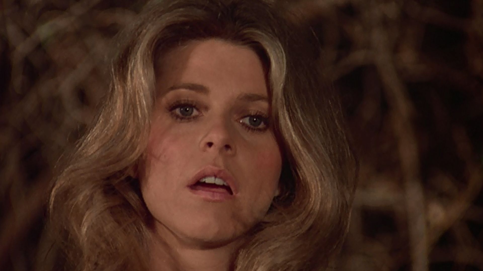 The Bionic Woman background