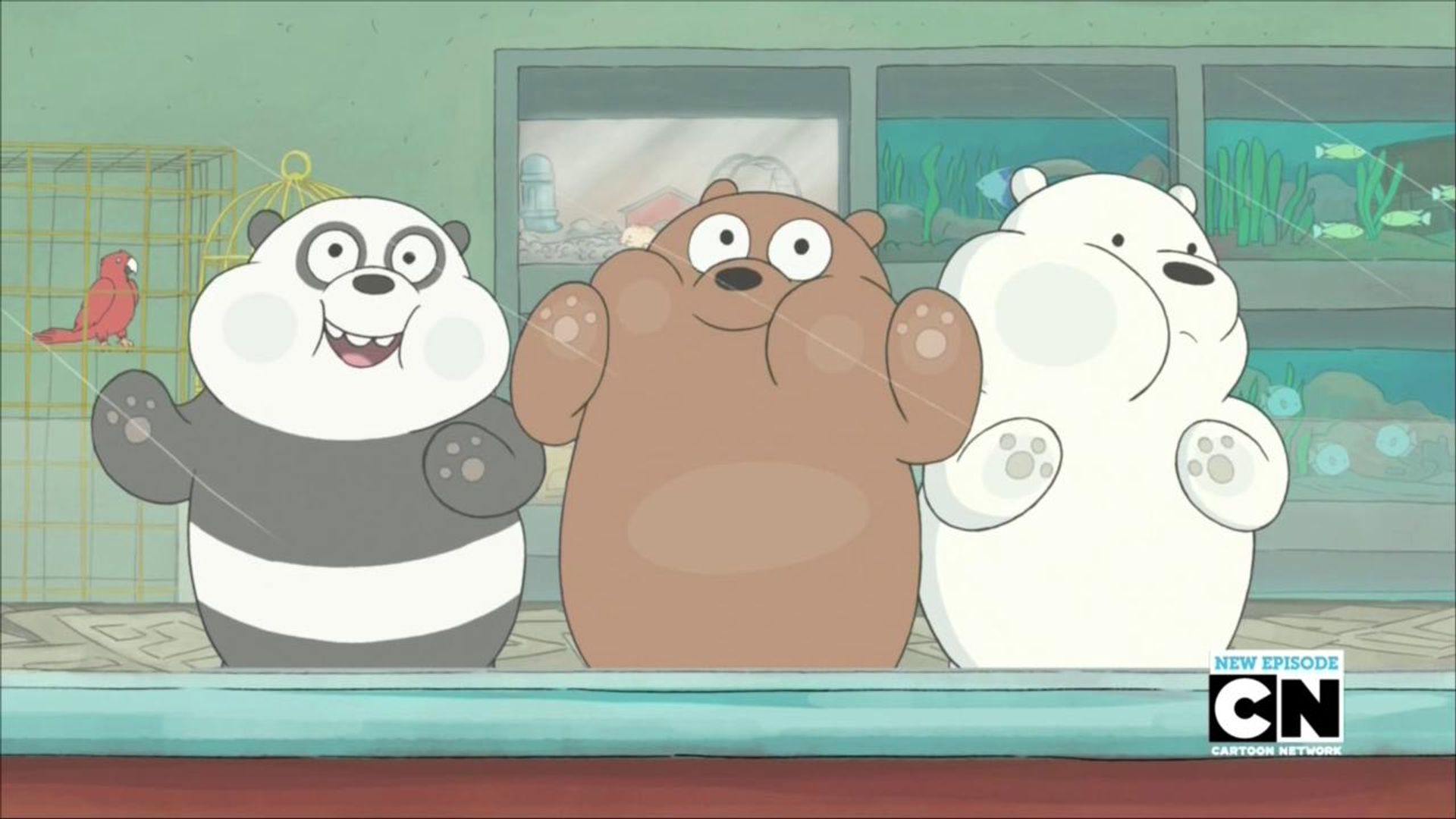 We Bare Bears background