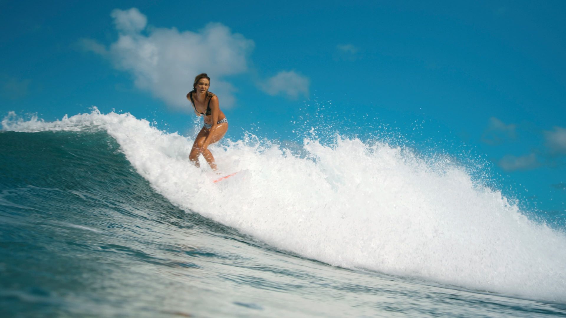 Surf Girls Hawai'i background