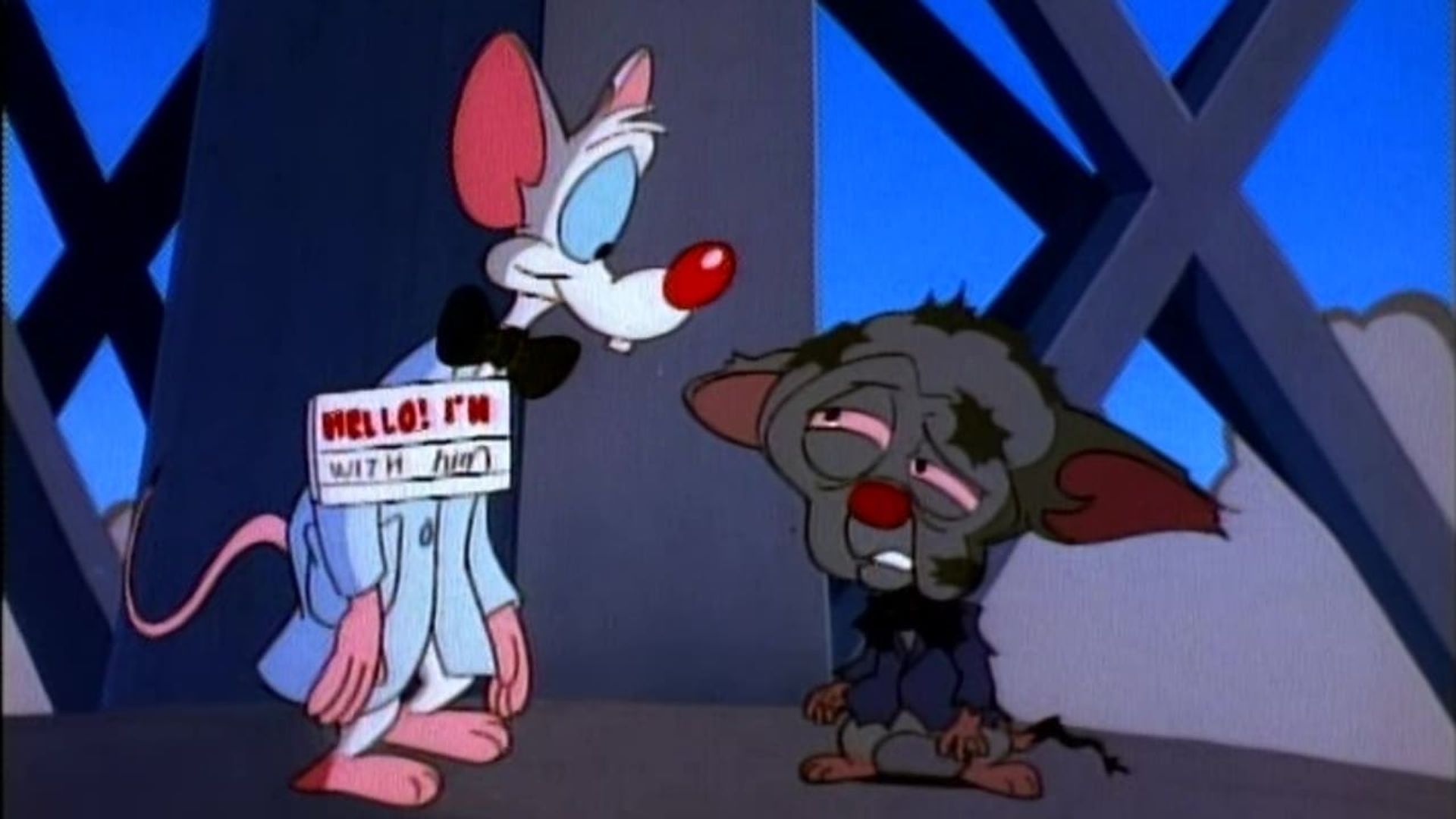 Pinky and the Brain background