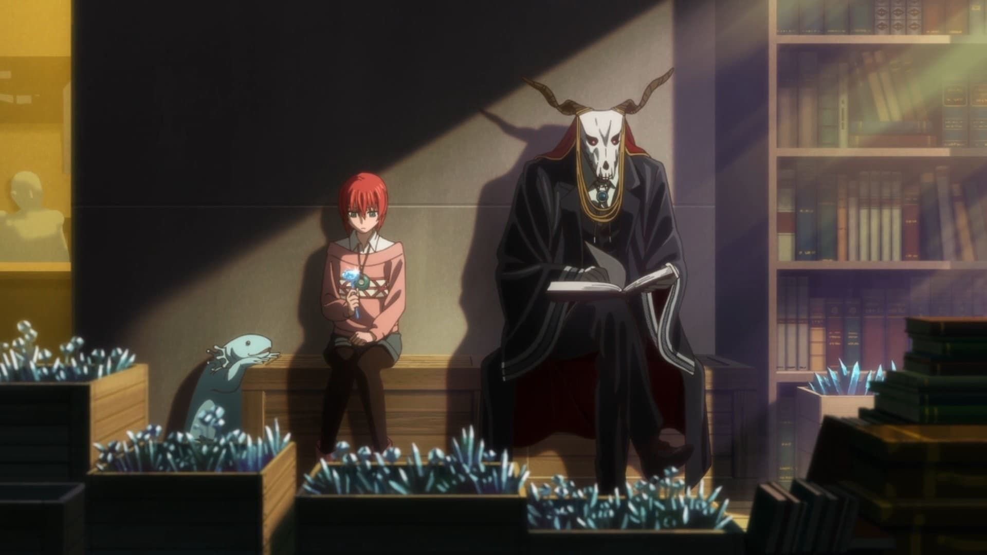 The Ancient Magus' Bride background