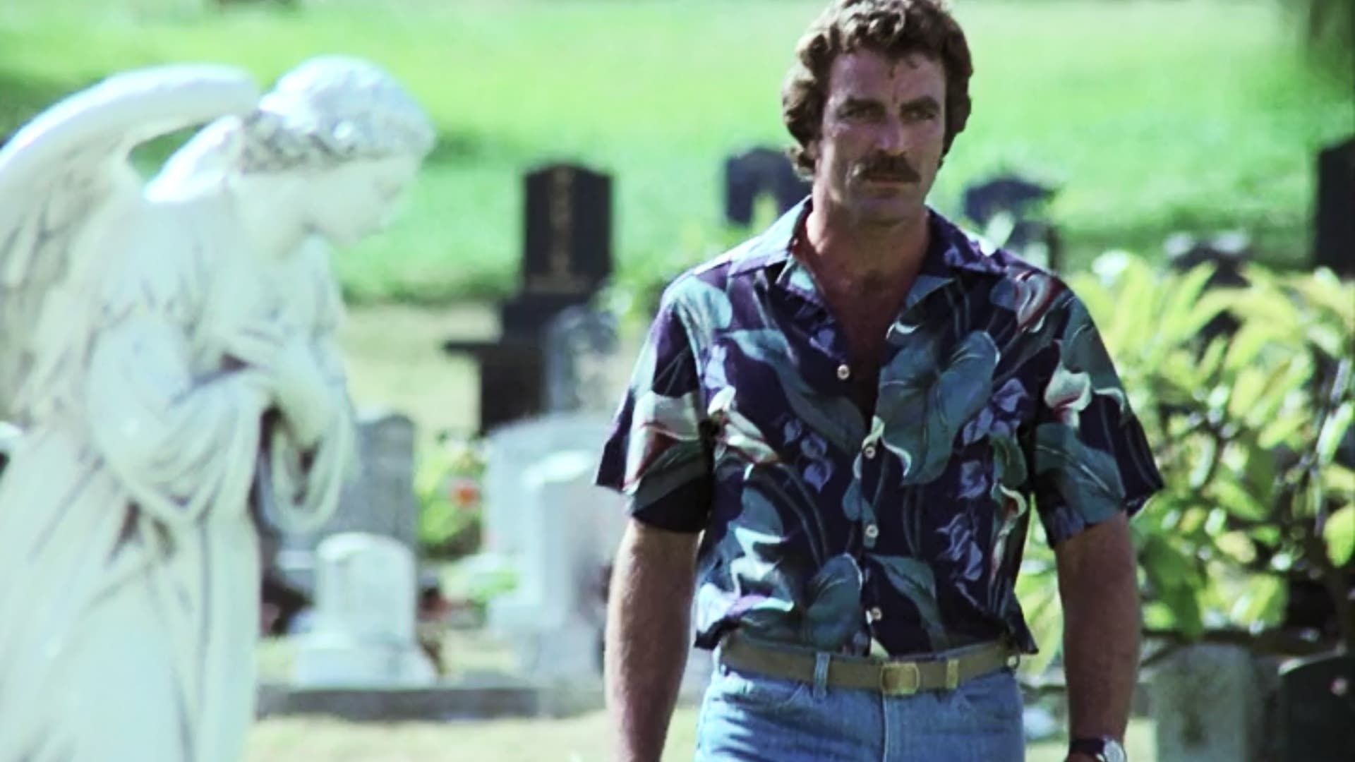 Magnum, P.I. background