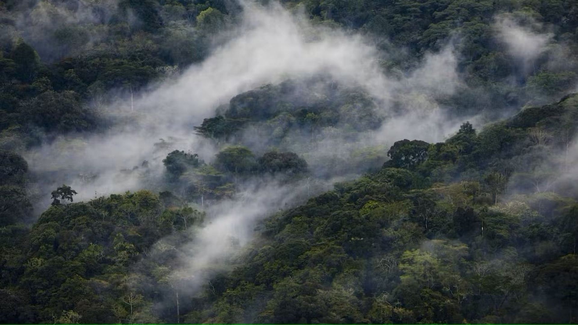 La Naturaleza Nos Habla background