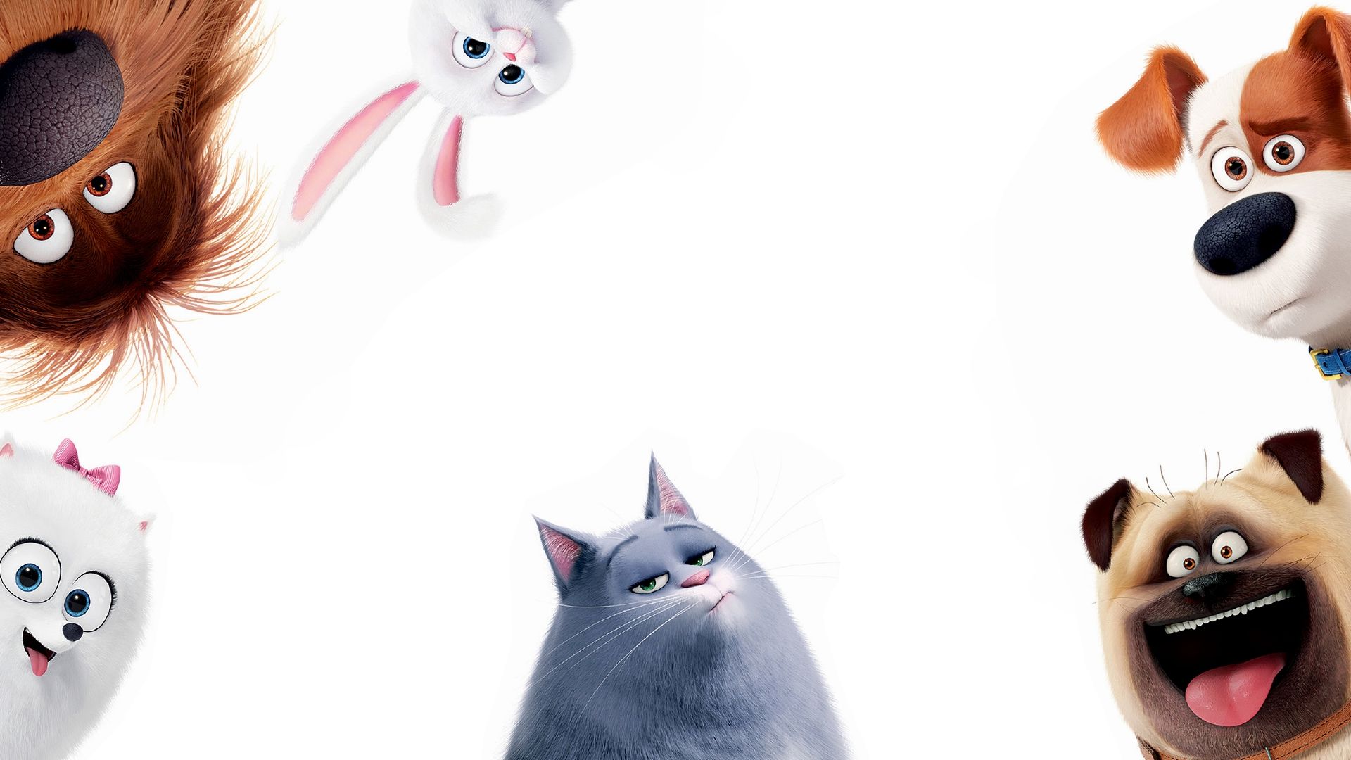 The Secret Life of Pets background