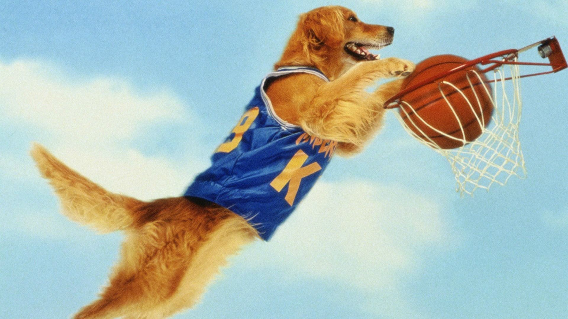 Air Bud background