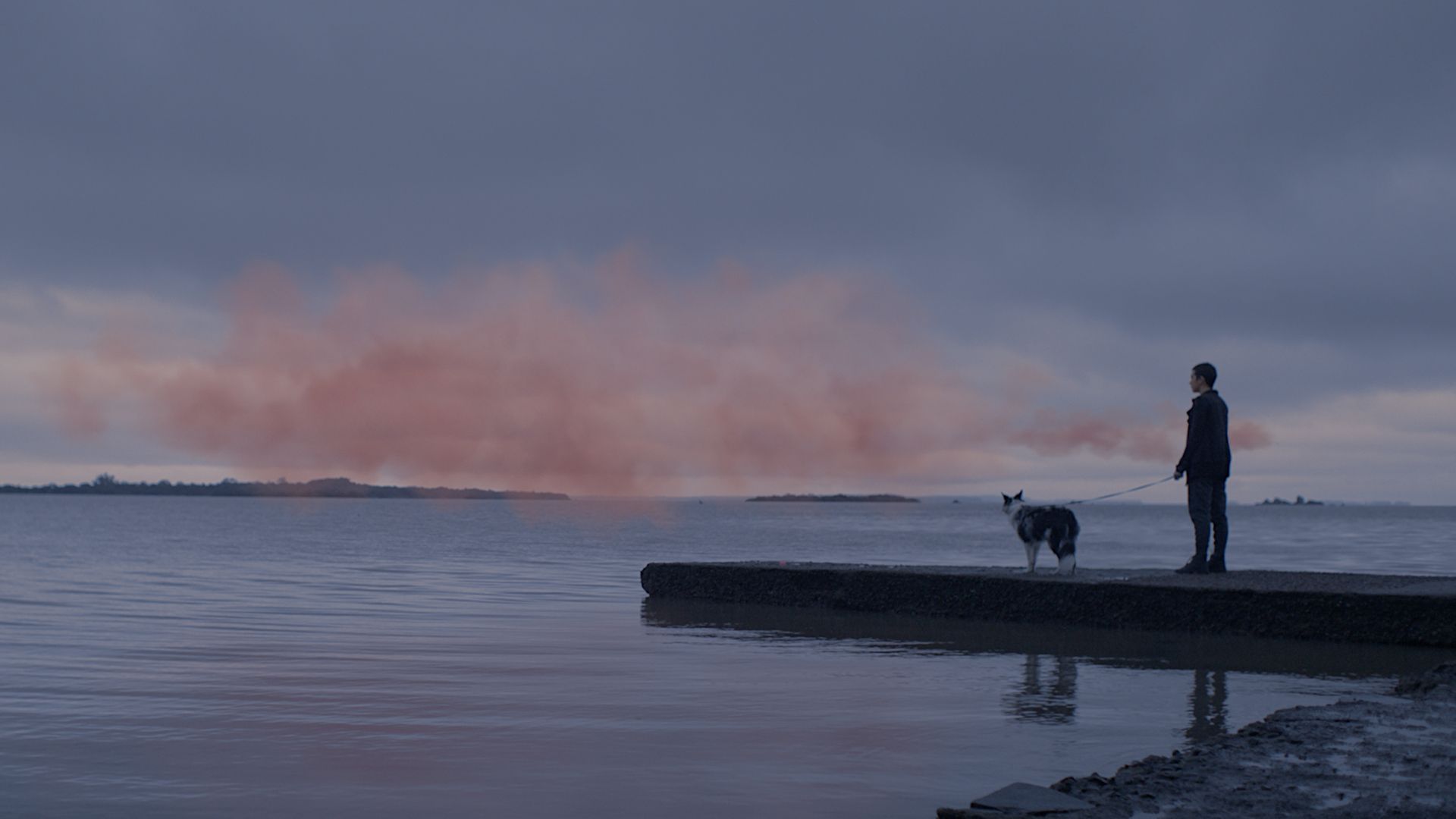 The Pink Cloud background