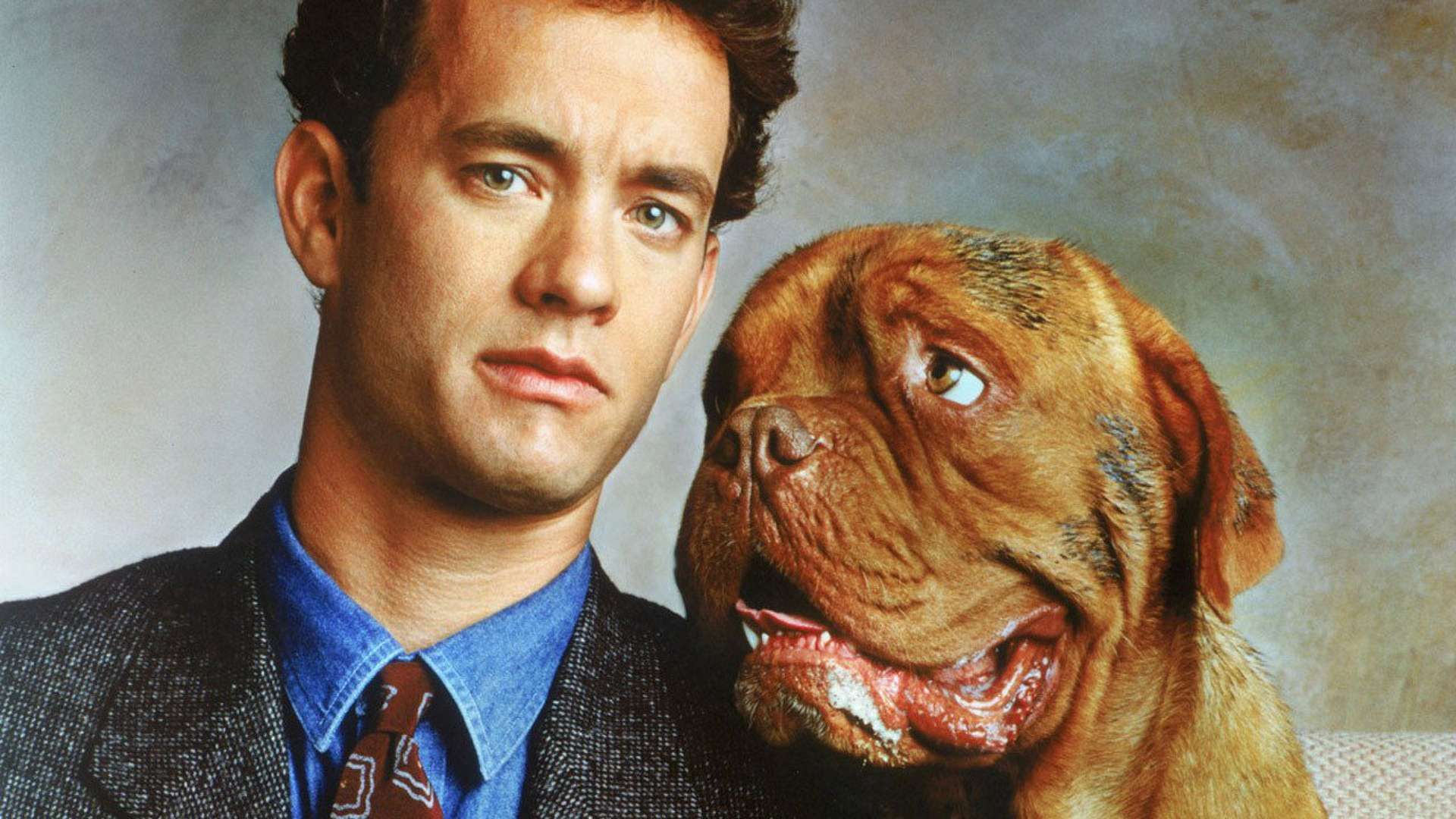 Turner & Hooch background