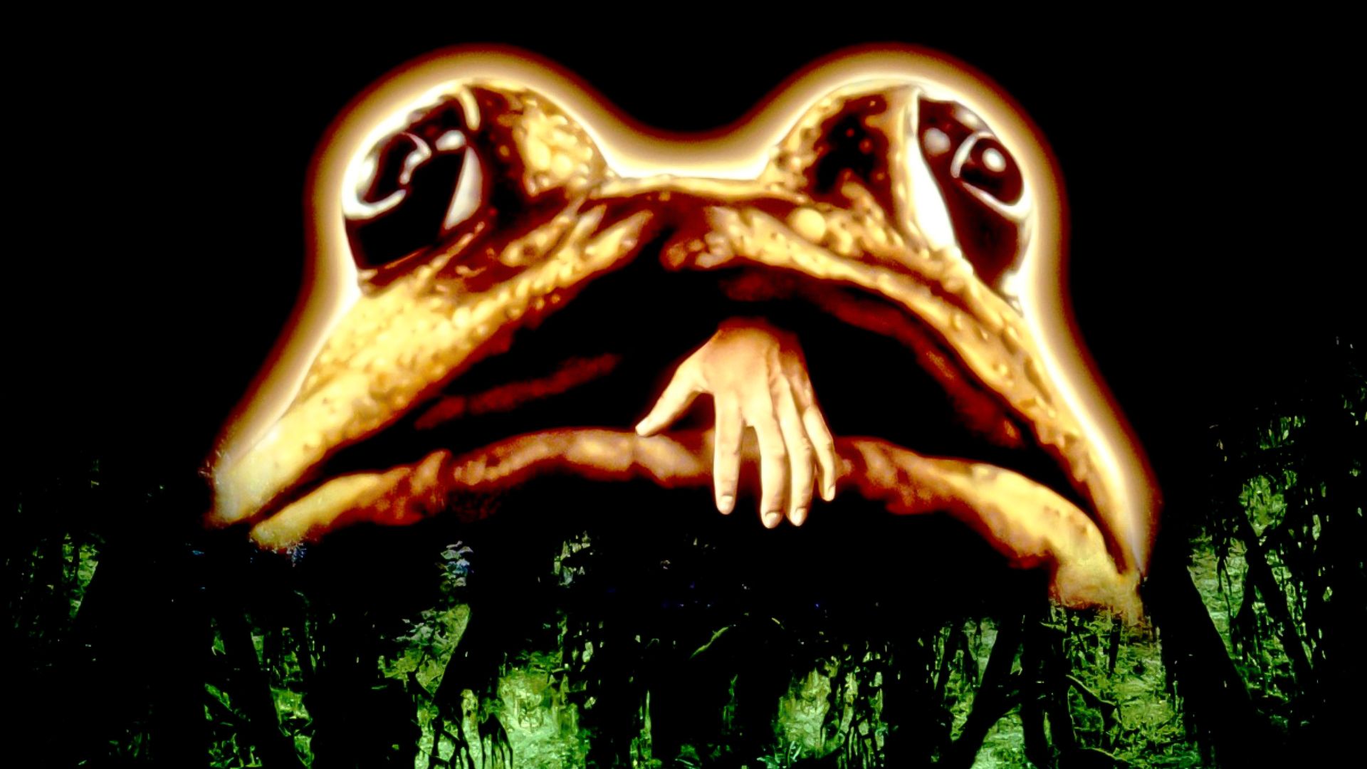 Frogs background