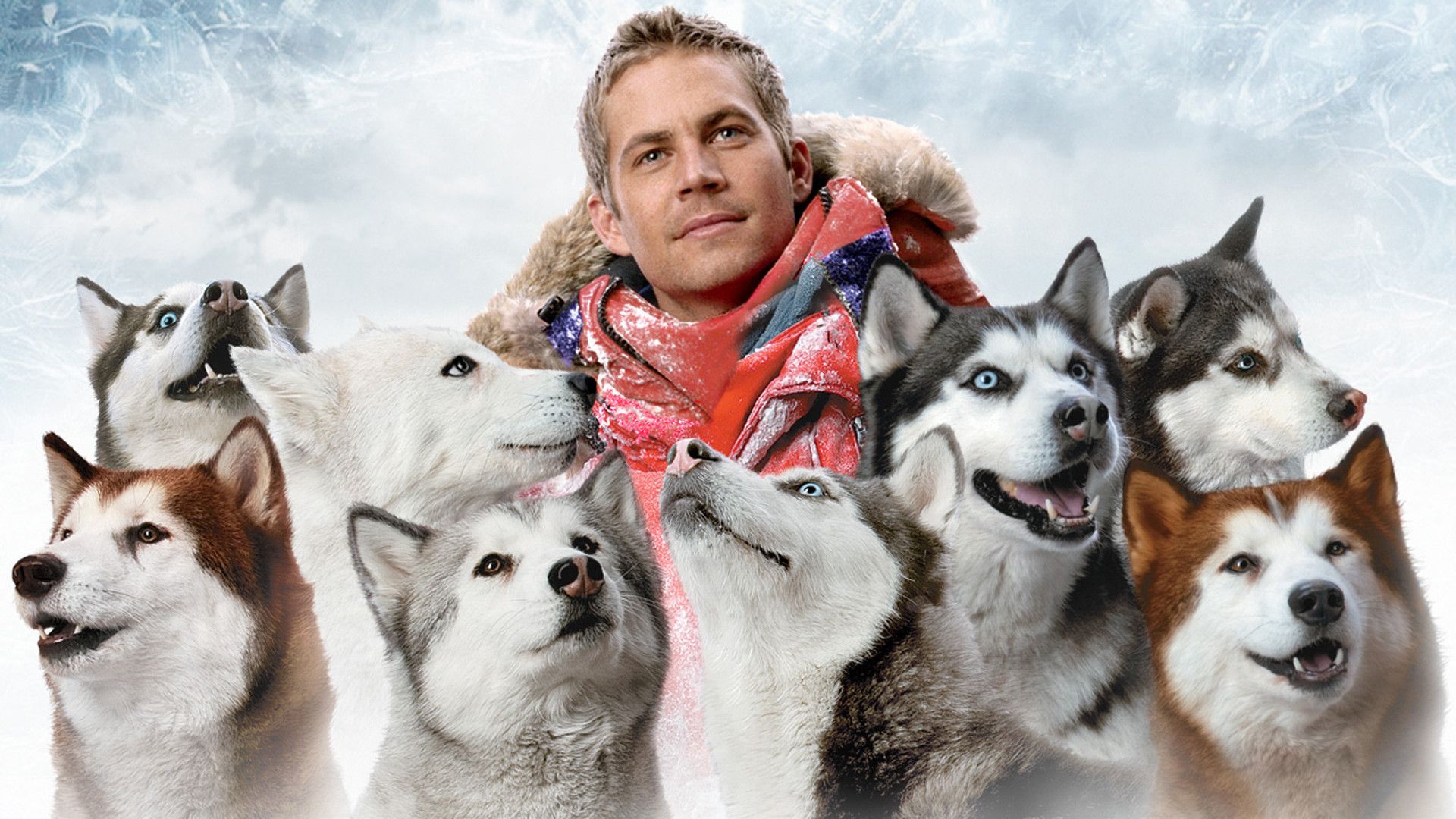 Eight Below background