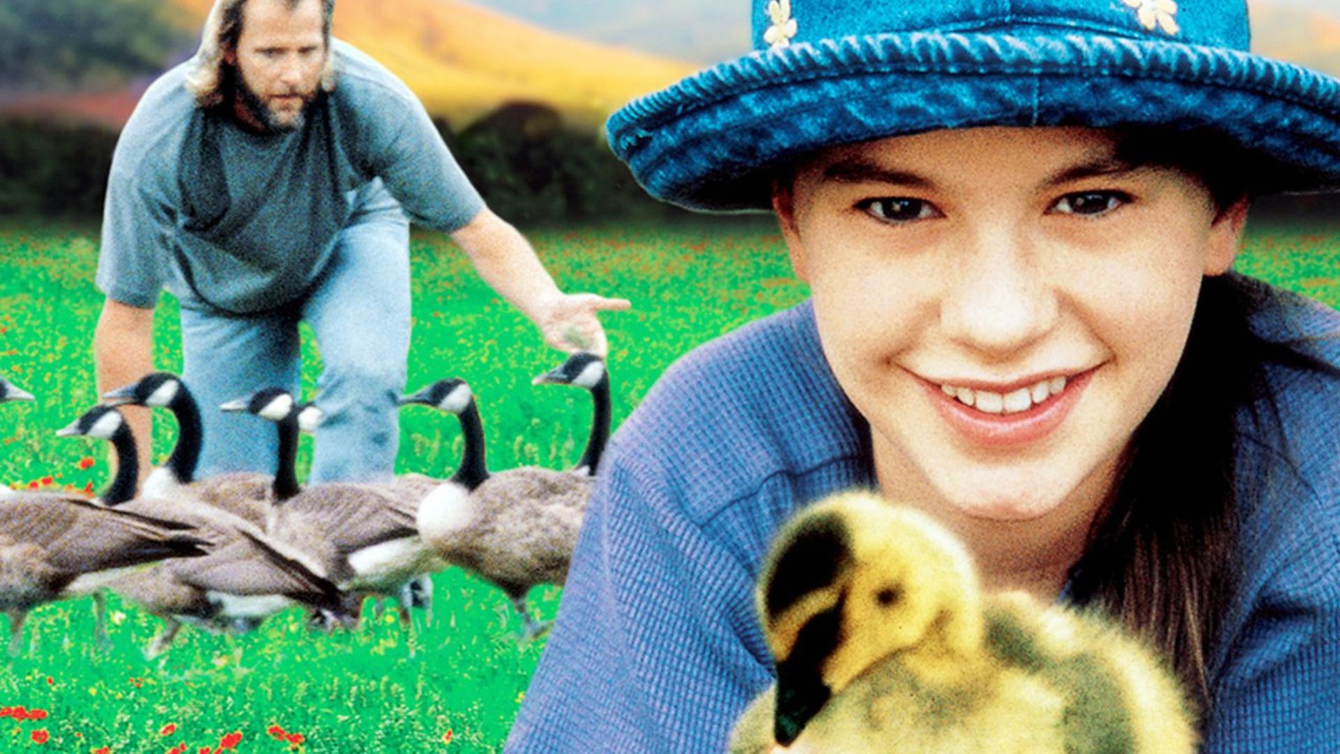 Fly Away Home background